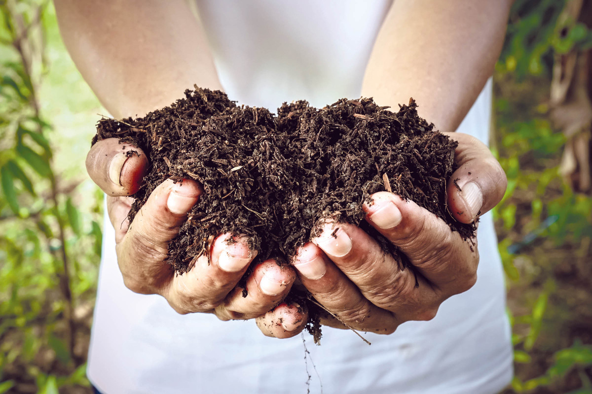 Premium WellRotted Horse Manure Premium Topsoil Supplies